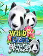 สมัคร bet911 เพื่อสัมผัสประสบการณ์เกมสุดมันส์